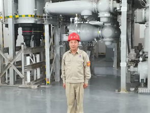 典型丨平海灣二期項目首臺風機并網 建設功臣 和 先進工作者 事跡展播之三