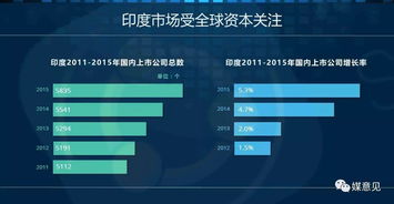 數字印度駛入快車道 互聯網用戶突破4.6億，數據服務驅動新變革